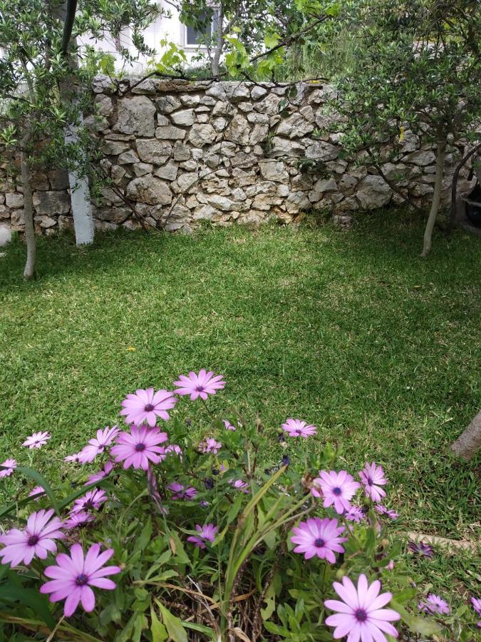 Altin Skrapari Guesthouse Ksamil Exterior photo