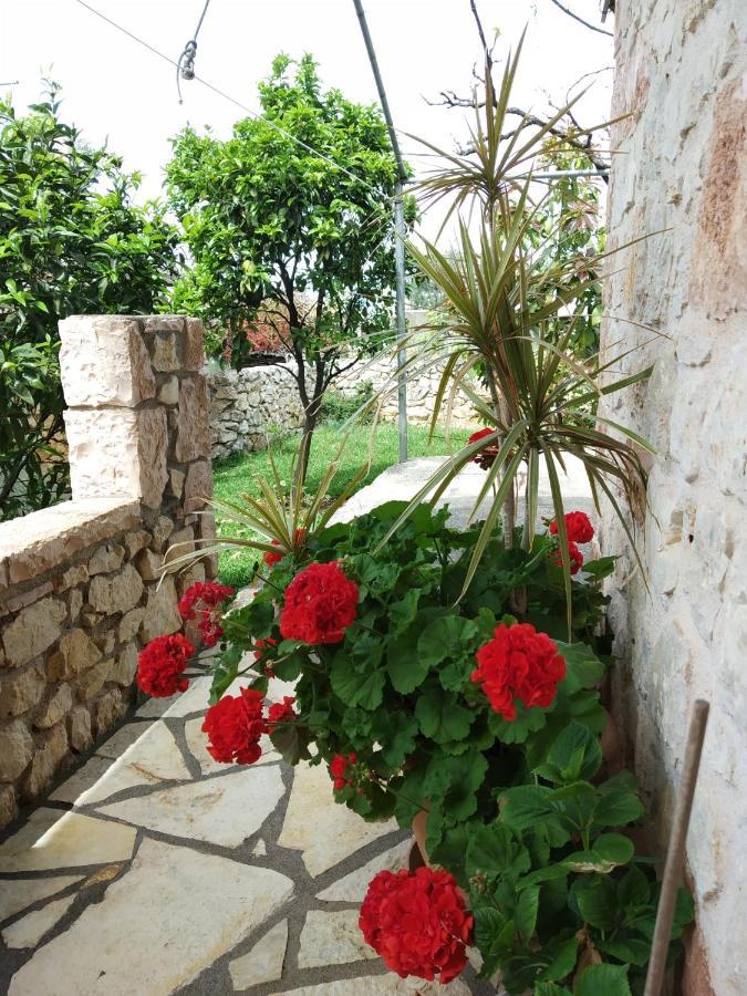 Altin Skrapari Guesthouse Ksamil Exterior photo