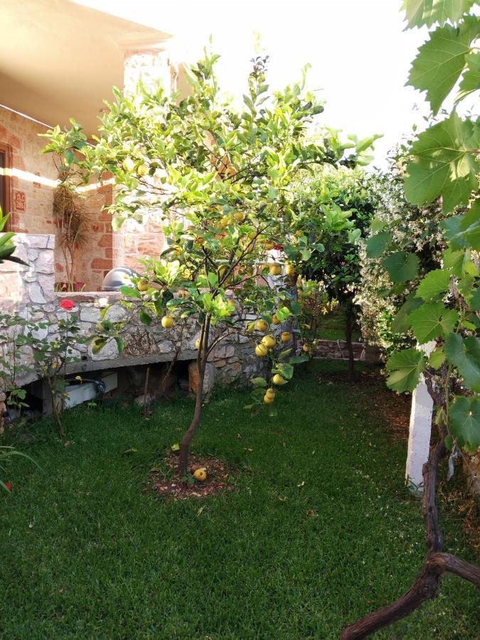 Altin Skrapari Guesthouse Ksamil Exterior photo